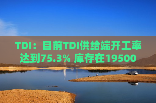 TDI：目前TDI供给端开工率达到75.3% 库存在19500吨 环比持平