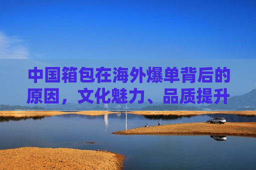 中国箱包在海外爆单背后的原因，文化魅力、品质提升与市场策略，中国箱包在海外爆单，文化魅力、品质提升与市场策略的胜利，中国箱包在海外爆单，文化魅力、品质提升与市场策略的胜利