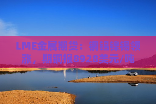 LME金属期货：铜铝镍锡领涨，期铜报8928美元/吨