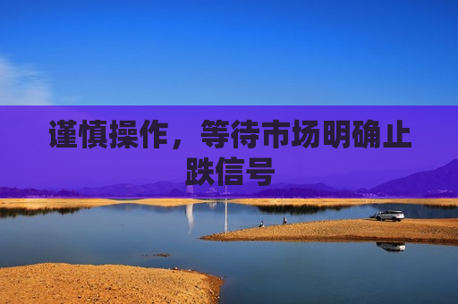 谨慎操作，等待市场明确止跌信号