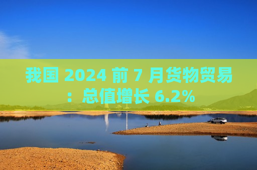 我国 2024 前 7 月货物贸易：总值增长 6.2%
