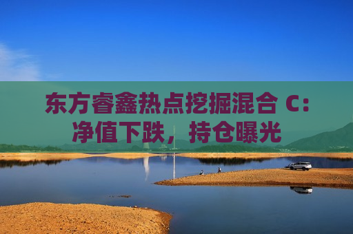 东方睿鑫热点挖掘混合 C：净值下跌，持仓曝光