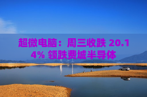 超微电脑：周三收跌 20.14% 领跌费城半导体