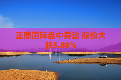 正康国际盘中异动 股价大跌5.88%