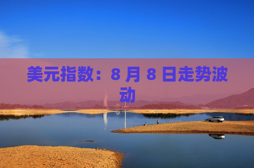 美元指数：8 月 8 日走势波动