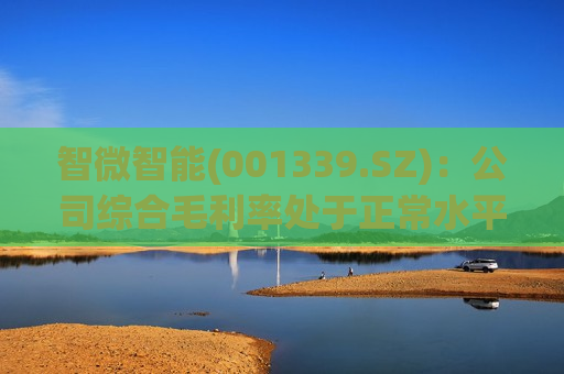 智微智能(001339.SZ)：公司综合毛利率处于正常水平