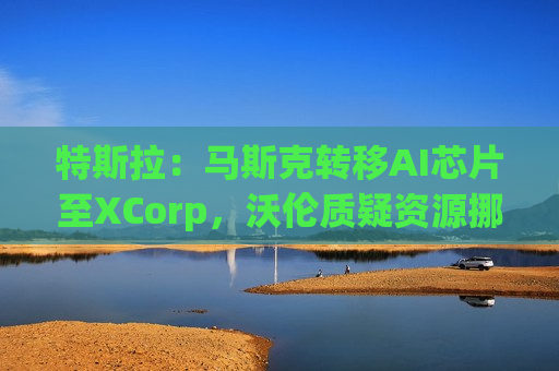 特斯拉：马斯克转移AI芯片至XCorp，沃伦质疑资源挪用