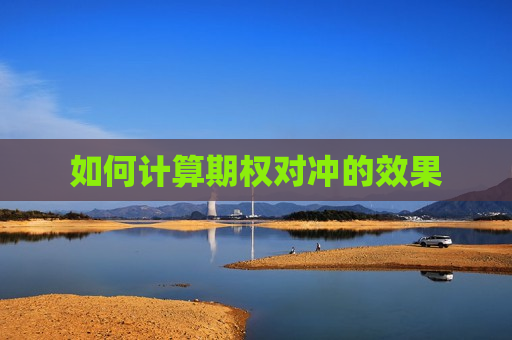 如何计算期权对冲的效果