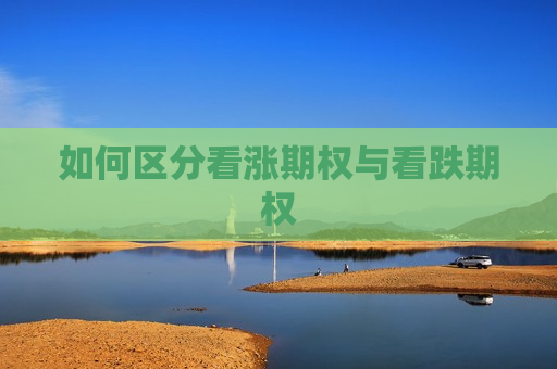 如何区分看涨期权与看跌期权