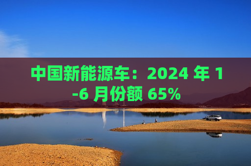 中国新能源车：2024 年 1-6 月份额 65%