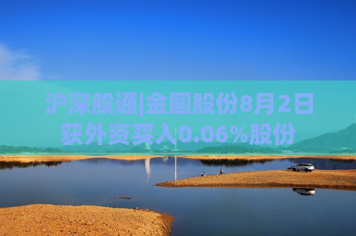 沪深股通|金圆股份8月2日获外资买入0.06%股份