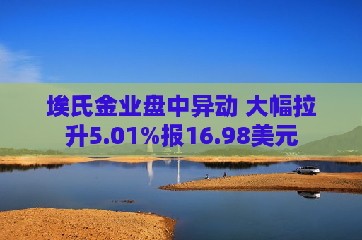 埃氏金业盘中异动 大幅拉升5.01%报16.98美元