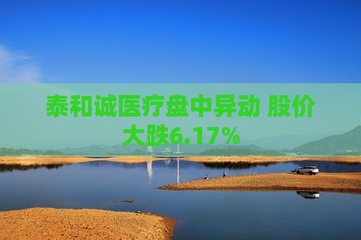 泰和诚医疗盘中异动 股价大跌6.17%