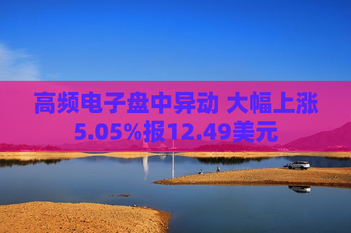 高频电子盘中异动 大幅上涨5.05%报12.49美元