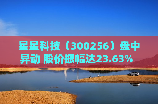 星星科技（300256）盘中异动 股价振幅达23.63%  上涨3.8%（08-13）