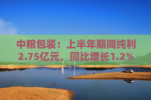 中粮包装：上半年期间纯利2.75亿元，同比增长1.2%