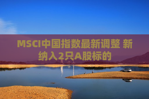 MSCI中国指数最新调整 新纳入2只A股标的