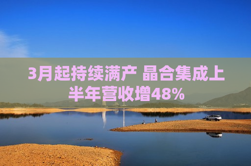 3月起持续满产 晶合集成上半年营收增48%  第1张