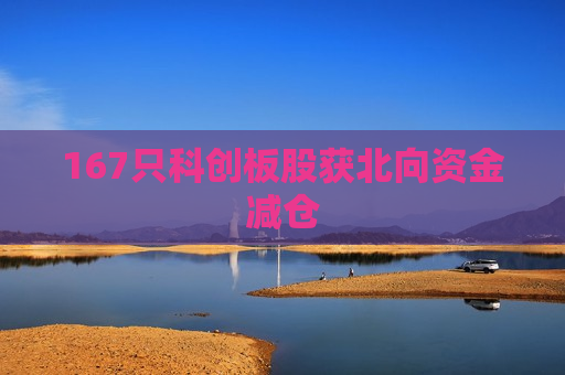 167只科创板股获北向资金减仓