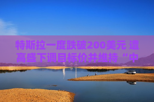 特斯拉一度跌破200美元 遭高盛下调目标价并维持“中性”评级