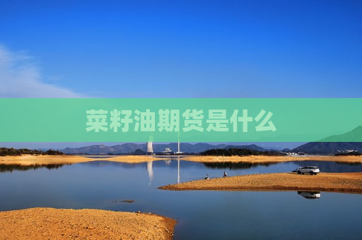 菜籽油期货是什么
