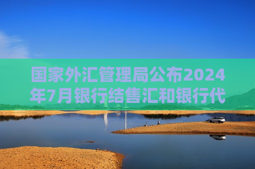 国家外汇管理局公布2024年7月银行结售汇和银行代客涉外收付款数据