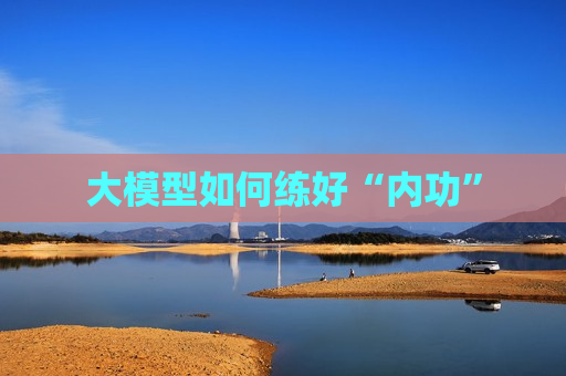 大模型如何练好“内功”  第1张