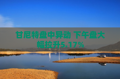 甘尼特盘中异动 下午盘大幅拉升5.17%