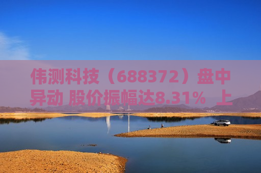 伟测科技（688372）盘中异动 股价振幅达8.31%  上涨6.6%（08-16）