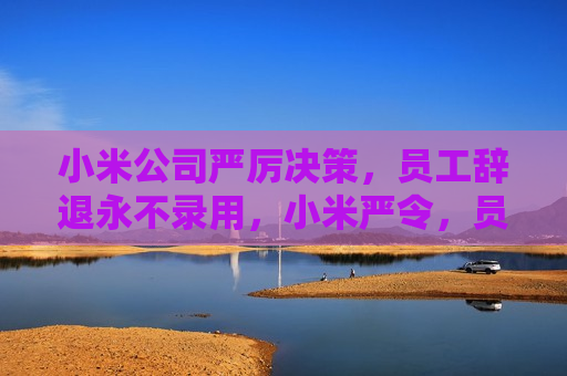 小米公司严厉决策，员工辞退永不录用，小米严令，员工辞退永不录用，小米严令，员工辞退永不录用  第1张