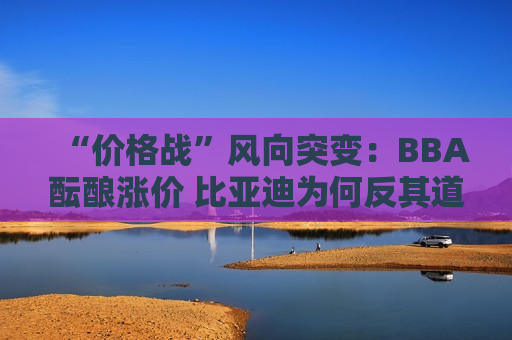 “价格战”风向突变：BBA酝酿涨价 比亚迪为何反其道而行？