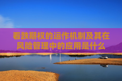 看跌期权的运作机制及其在风险管理中的应用是什么