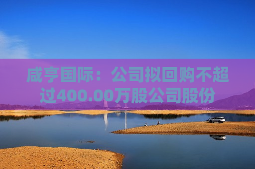 咸亨国际：公司拟回购不超过400.00万股公司股份  第1张