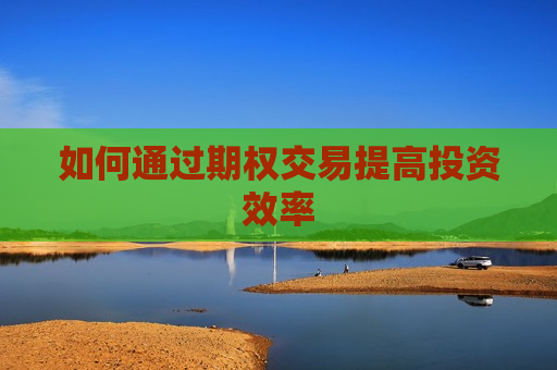 如何通过期权交易提高投资效率