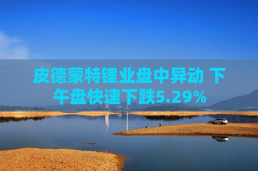 皮德蒙特锂业盘中异动 下午盘快速下跌5.29%