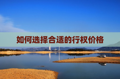 如何选择合适的行权价格  第1张