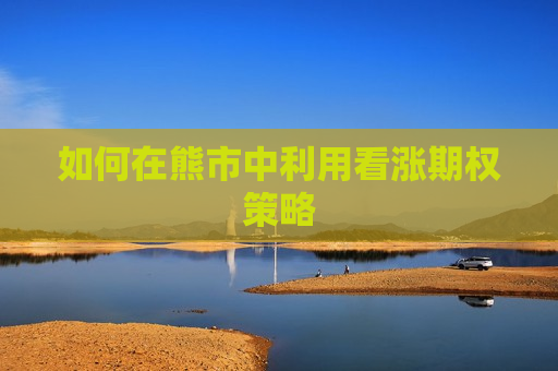 如何在熊市中利用看涨期权策略