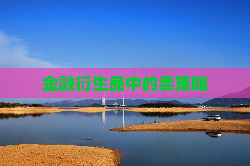 金融衍生品中的卖策略