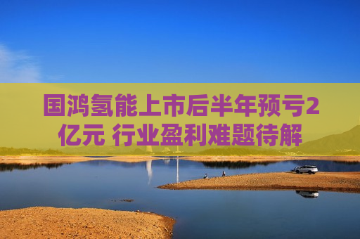 国鸿氢能上市后半年预亏2亿元 行业盈利难题待解