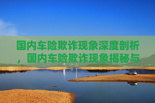 国内车险欺诈现象深度剖析，国内车险欺诈现象揭秘与深度剖析，国内车险欺诈现象揭秘，深度剖析与探讨