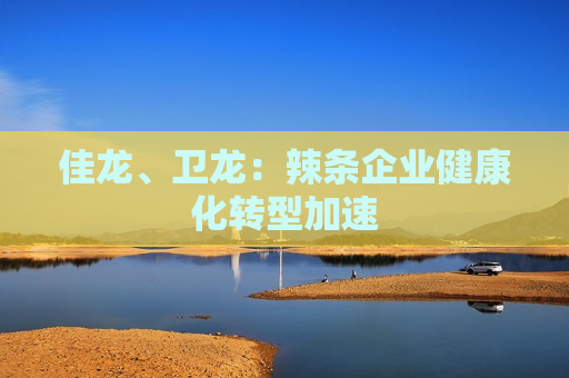 佳龙、卫龙：辣条企业健康化转型加速