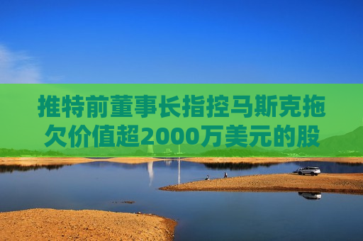 推特前董事长指控马斯克拖欠价值超2000万美元的股票  第1张