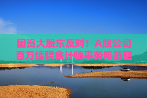 国资大股东反对！A股公司百万续聘会计师事务所落空，已连续合作19年！