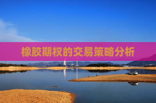 橡胶期权的交易策略分析
