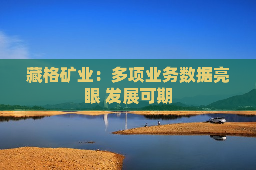 藏格矿业：多项业务数据亮眼 发展可期