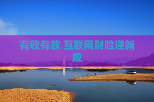 有收有放 互联网财险迎新规