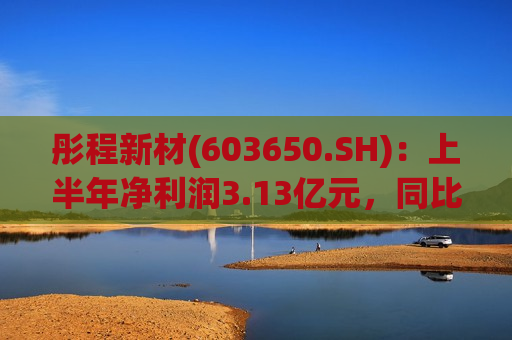 彤程新材(603650.SH)：上半年净利润3.13亿元，同比增长40.35% 拟10派2.5元  第1张