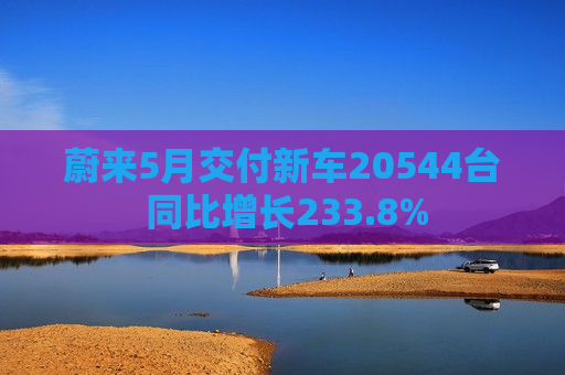 蔚来5月交付新车20544台 同比增长233.8%  第1张