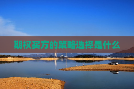 期权买方的策略选择是什么