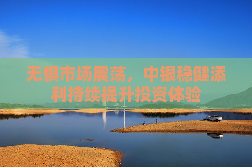 无惧市场震荡，中银稳健添利持续提升投资体验